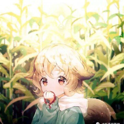 白酒概念股走高